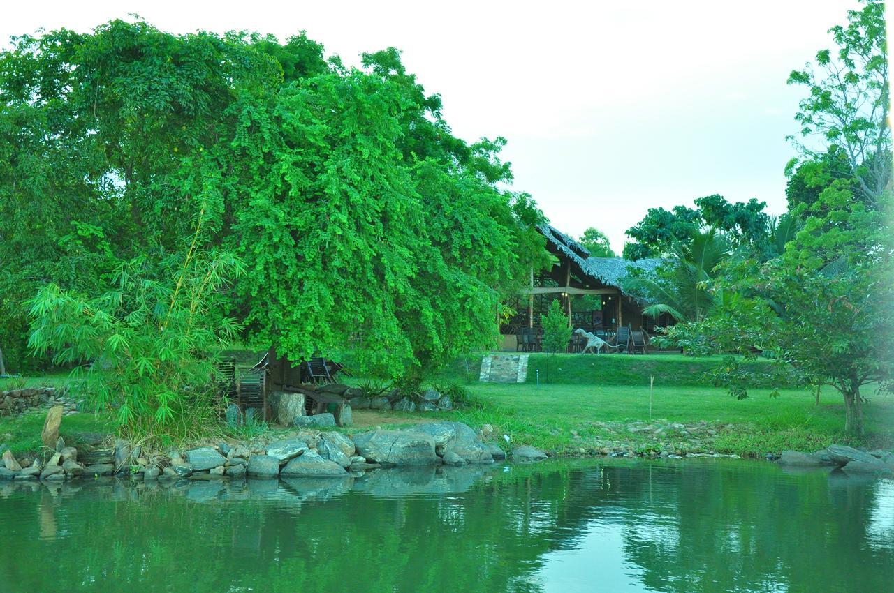 Hotel Thuduwa Camp Embilipitiya Exteriér fotografie